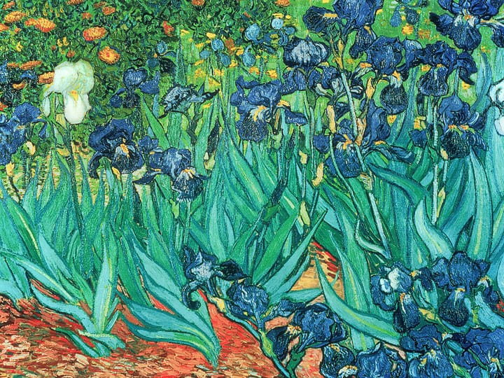 Artists Show You What Things Looked Like Before You Learned to Ignore Them